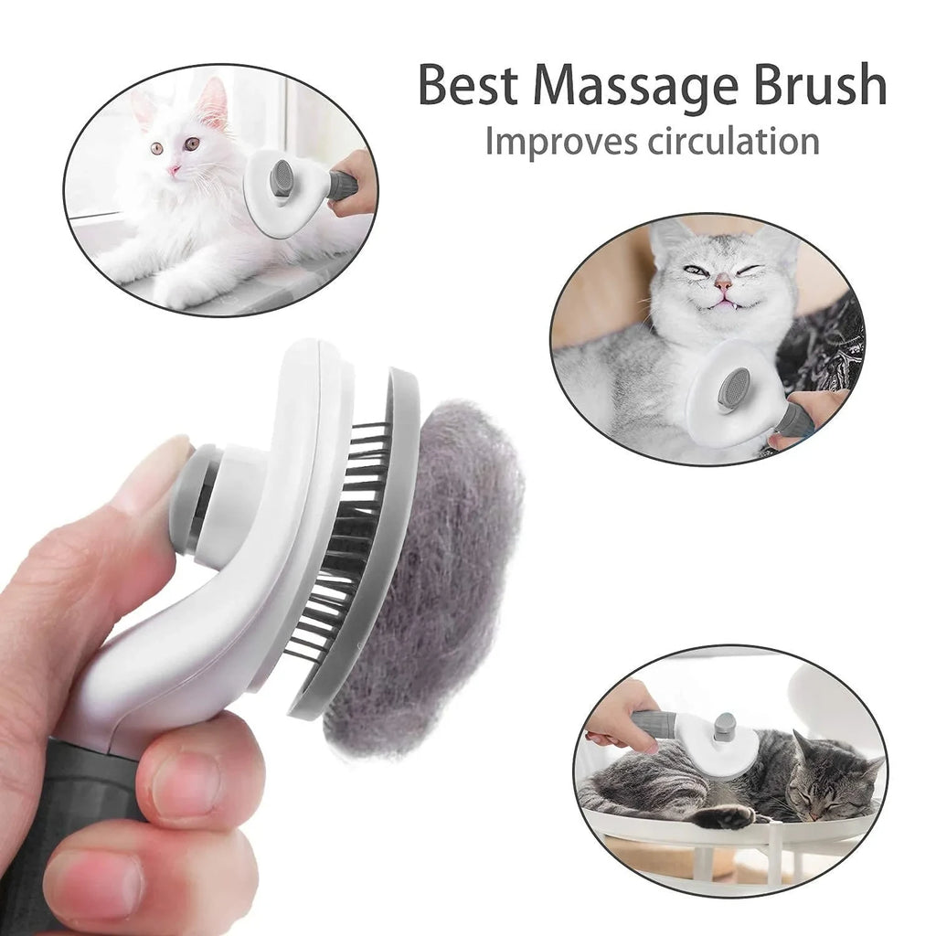 Paw Brush